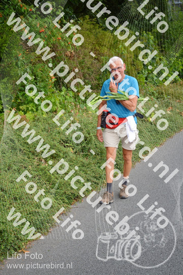 Evenement foto: Nijmeegse Vierdaagse 979