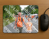 Evenement foto: Nijmeegse Vierdaagse 979