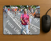 Evenement foto: Nijmeegse Vierdaagse 979
