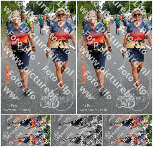 Evenement foto: Nijmeegse Vierdaagse 979