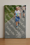 Evenement foto: Nijmeegse Vierdaagse 979