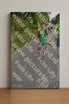 Evenement foto: Nijmeegse Vierdaagse 979