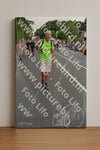 Evenement foto: Nijmeegse Vierdaagse 979