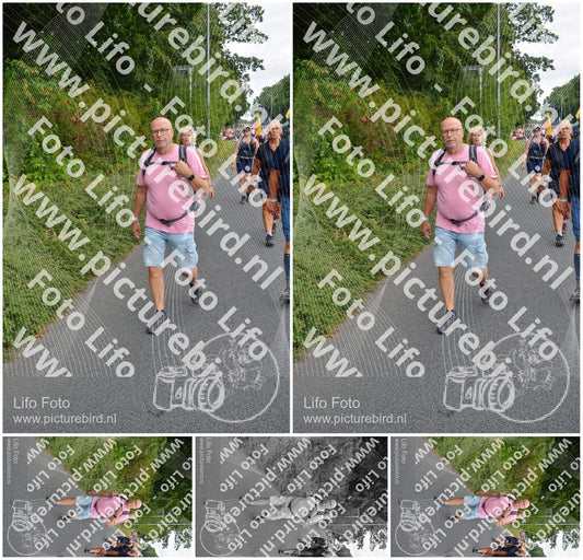 Evenement foto: Nijmeegse Vierdaagse 979