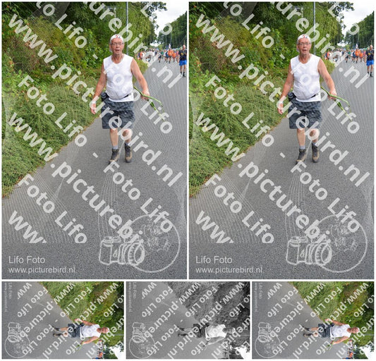 Evenement foto: Nijmeegse Vierdaagse 979