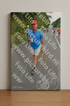 Evenement foto: Nijmeegse Vierdaagse 979