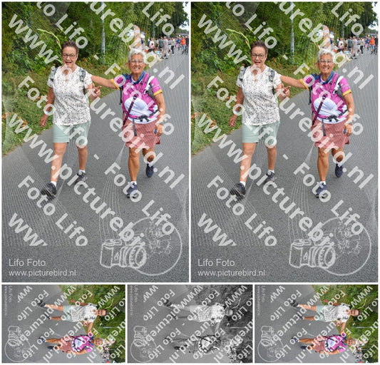 Evenement foto: Nijmeegse Vierdaagse 979
