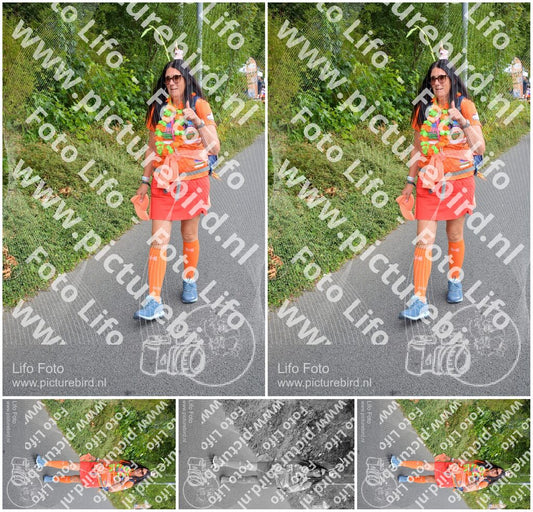 Evenement foto: Nijmeegse Vierdaagse 979
