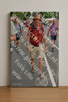 Evenement foto: Nijmeegse Vierdaagse 979