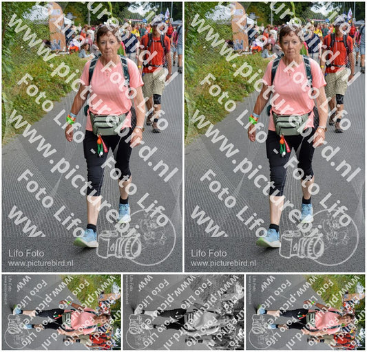 Evenement foto: Nijmeegse Vierdaagse 979