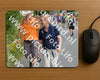 Evenement foto: Nijmeegse Vierdaagse 979