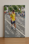 Evenement foto: Nijmeegse Vierdaagse 979