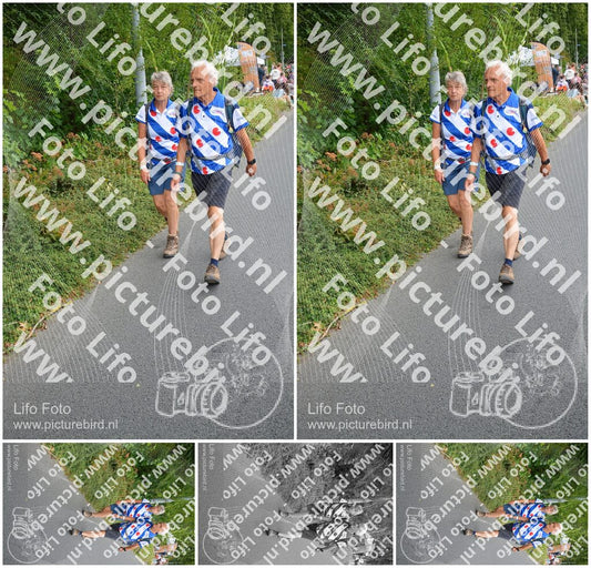 Evenement foto: Nijmeegse Vierdaagse 979