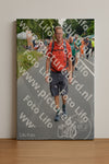 Evenement foto: Nijmeegse Vierdaagse 979