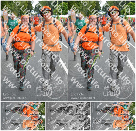 Evenement foto: Nijmeegse Vierdaagse 979
