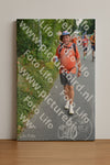 Evenement foto: Nijmeegse Vierdaagse 979