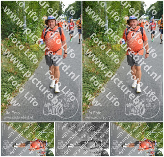 Evenement foto: Nijmeegse Vierdaagse 979