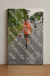 Evenement foto: Nijmeegse Vierdaagse 978
