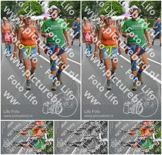 Evenement foto: Nijmeegse Vierdaagse 978