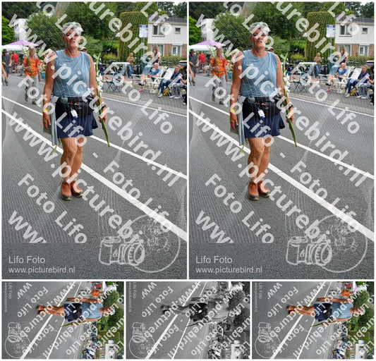 Evenement foto: Nijmeegse Vierdaagse 978