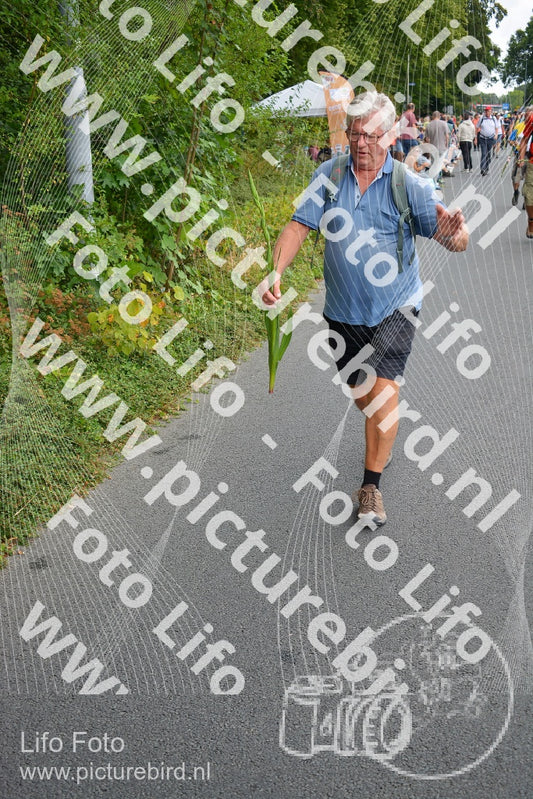 Evenement foto: Nijmeegse Vierdaagse 978