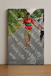 Evenement foto: Nijmeegse Vierdaagse 978
