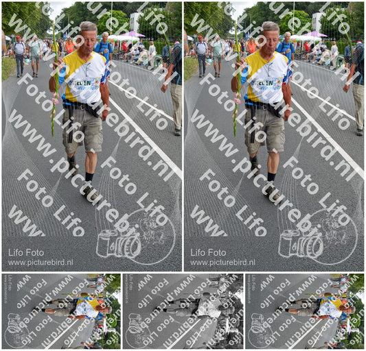 Evenement foto: Nijmeegse Vierdaagse 978