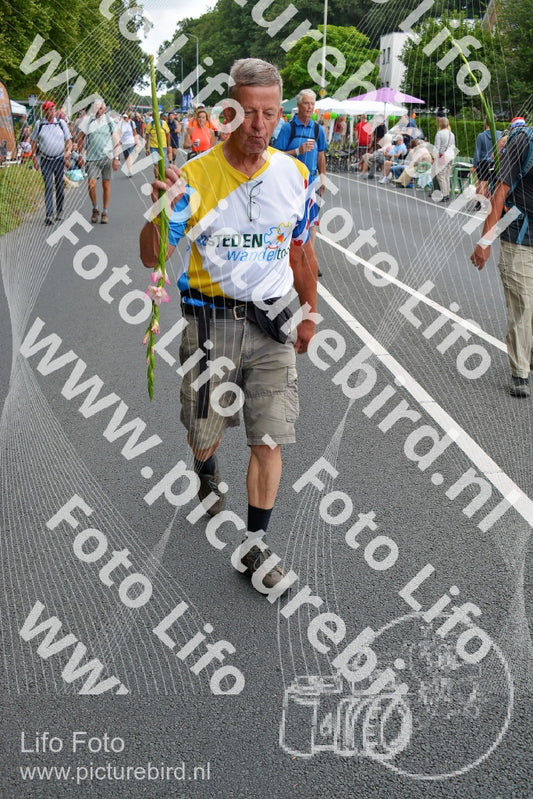 Evenement foto: Nijmeegse Vierdaagse 978