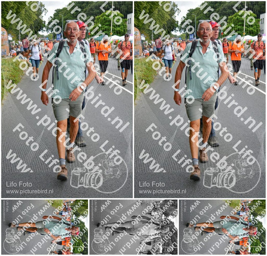 Evenement foto: Nijmeegse Vierdaagse 978