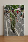 Evenement foto: Nijmeegse Vierdaagse 978