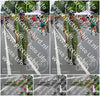 Evenement foto: Nijmeegse Vierdaagse 978