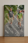 Evenement foto: Nijmeegse Vierdaagse 978