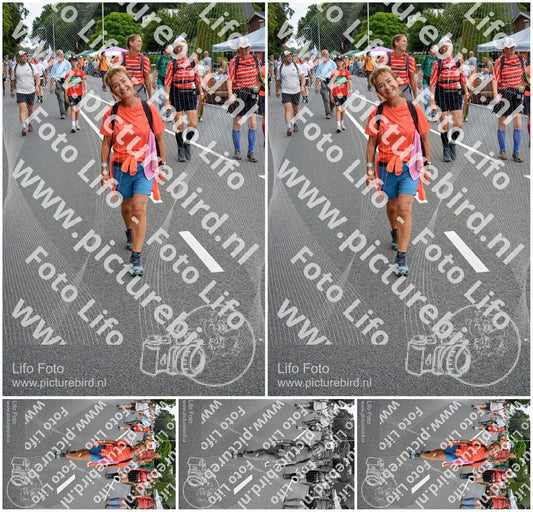 Evenement foto: Nijmeegse Vierdaagse 978