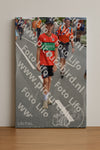 Evenement foto: Nijmeegse Vierdaagse 978