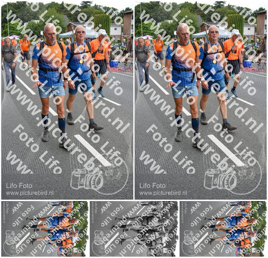 Evenement foto: Nijmeegse Vierdaagse 978