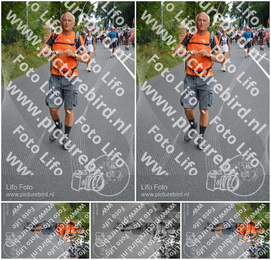 Evenement foto: Nijmeegse Vierdaagse 978