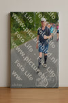Evenement foto: Nijmeegse Vierdaagse 978