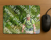Evenement foto: Nijmeegse Vierdaagse 978