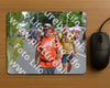 Evenement foto: Nijmeegse Vierdaagse 978