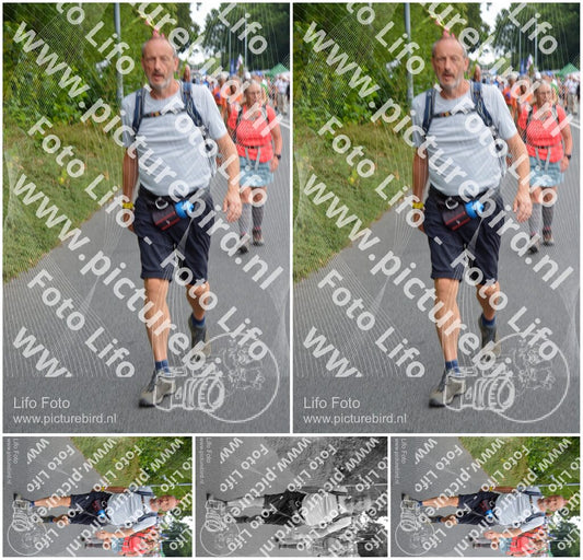 Evenement foto: Nijmeegse Vierdaagse 978