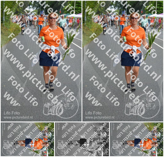 Evenement foto: Nijmeegse Vierdaagse 978