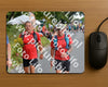 Evenement foto: Nijmeegse Vierdaagse 977