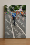Evenement foto: Nijmeegse Vierdaagse 977