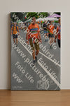 Evenement foto: Nijmeegse Vierdaagse 977