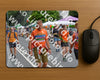 Evenement foto: Nijmeegse Vierdaagse 977