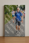 Evenement foto: Nijmeegse Vierdaagse 977