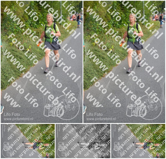 Evenement foto: Nijmeegse Vierdaagse 977