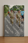 Evenement foto: Nijmeegse Vierdaagse 977