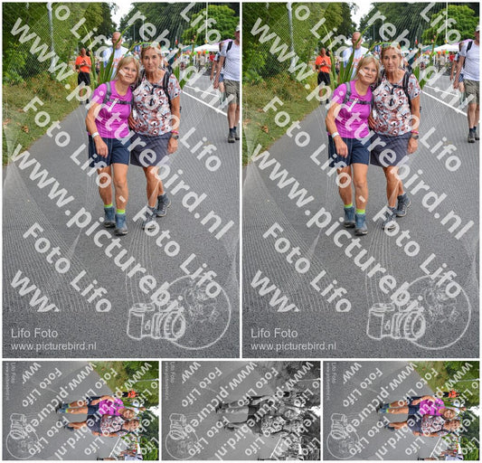 Evenement foto: Nijmeegse Vierdaagse 977
