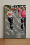 Evenement foto: Nijmeegse Vierdaagse 977
